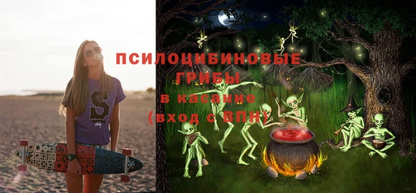 спиды Богородск