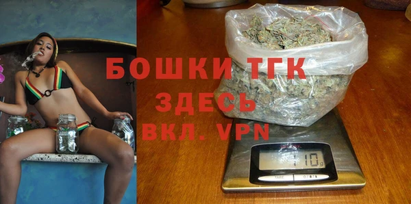 спиды Богородск