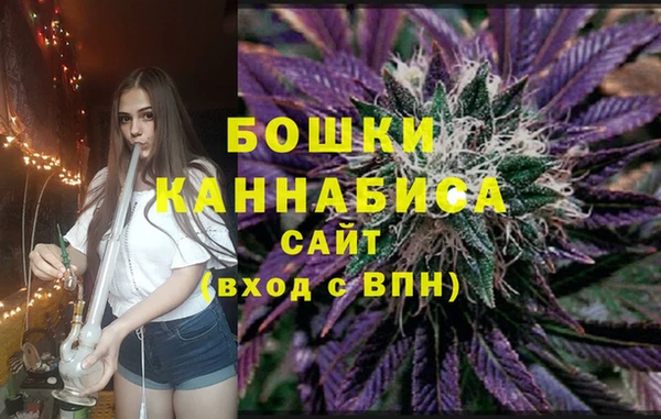 спиды Богородск