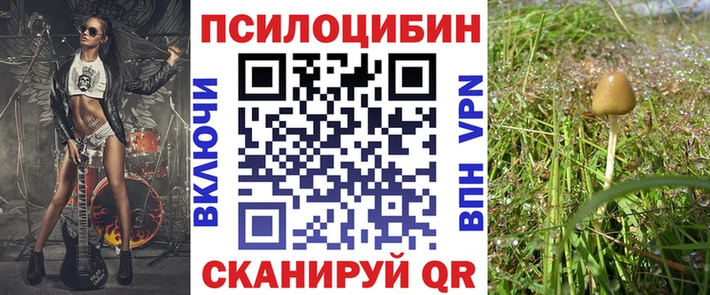 кракен онион  Новокубанск  Галлюциногенные грибы GOLDEN TEACHER 
